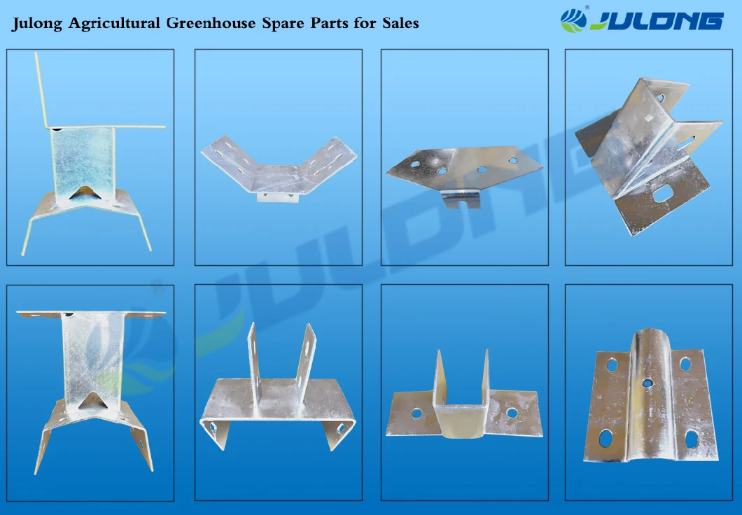 Plastic Multi Span Film Greenhouse Without Outside Shading Net System Greenhouse