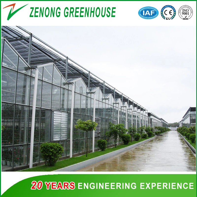 Commercial Beautiful Glass Multi-Span Greenhouse with Shading Net/Exhaust Fan/Ventilation