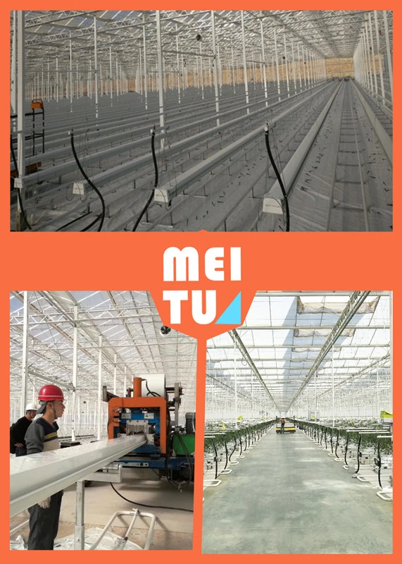Good Price Plastic Greenhouse Commercial Tunnel Greenhouse for Vegetable Hydroponic System