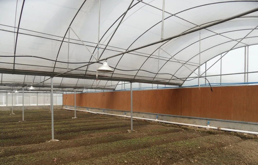 Arch Roof Green House Po/PE Plastic Film Greenhouse with Sprinker System/Shading Net