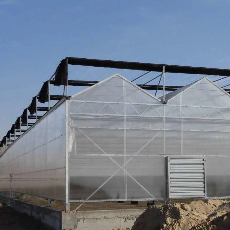 China Agriculture Polycarbonate Greenhouse/Green Hosue/Greenhouses
