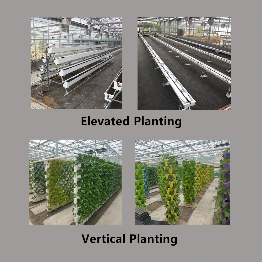 Agriculture Food Arch Type Tunnel Multi Span Greenhouse for Breeding Farm