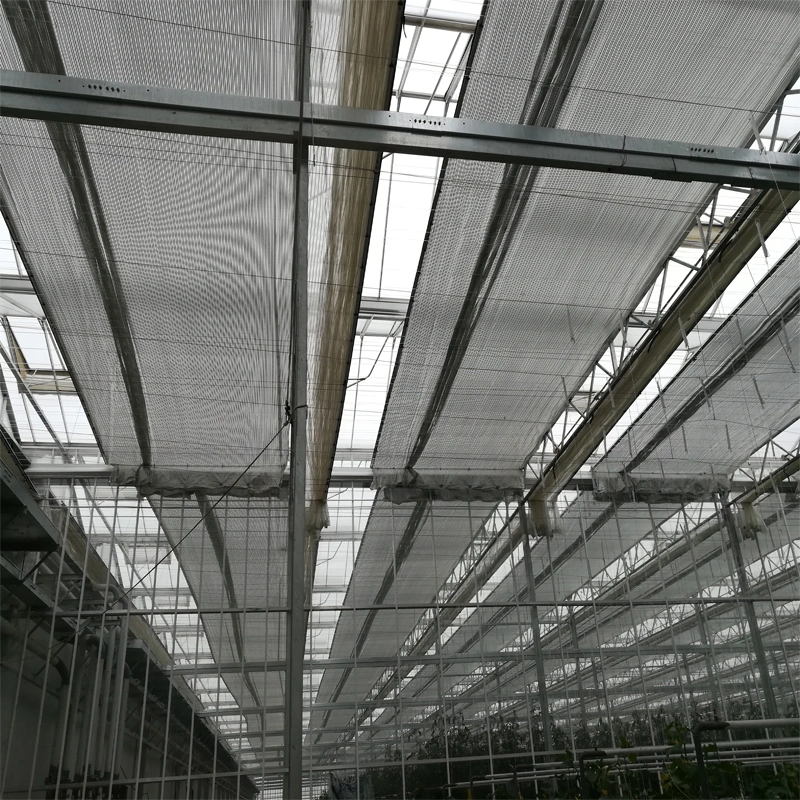 Cheap Hot Sale Multi-Span Plastic Film Agriculture Greenhouse for Tomatoes/Cucumber