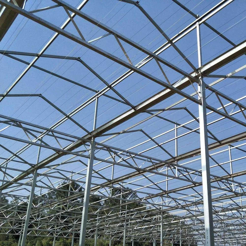 Venlo Glass Greenhouse for Tomato Cucumber Flower Horticulture