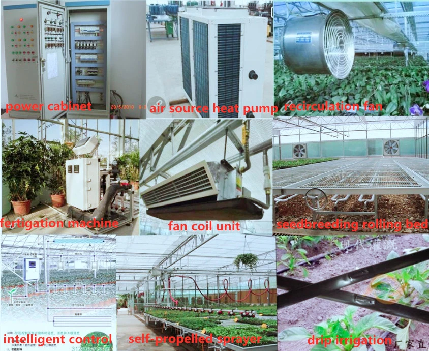 Polycarbonate Sheet Covered PC Greenhouse with Galvanized Steel Frame for Vegetables/Flowers/Seed Breeding