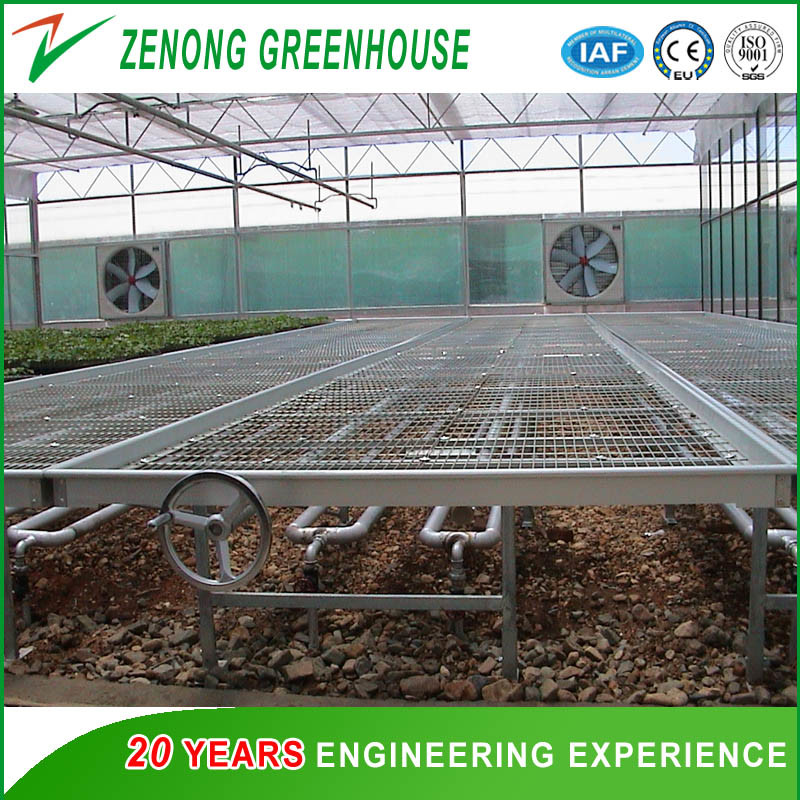 Agriculture Glass/Tempering Glass/Float Glass Greenhouse for Tomato/Fruit