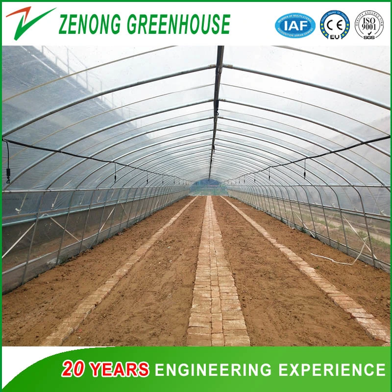 Po Film Single-Tunnel Greenhouse with Outside Shading Screen for Pumpkin/Pepper/Broccoli