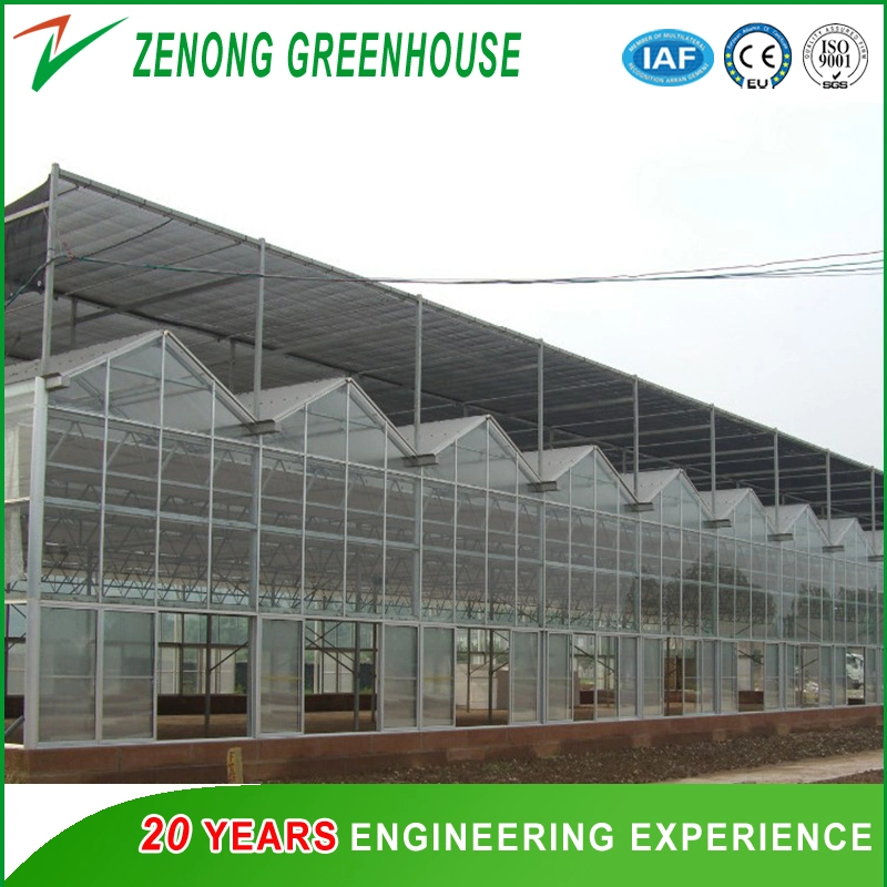 Polytunnel PC Sheet Greenhouses with External Sunshine Block/Shading System for Cooling Down