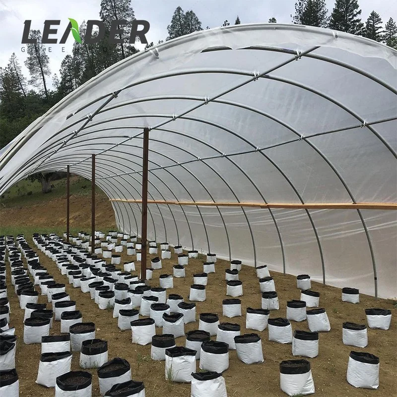 Low Cost Single Span Commercial Used Aquaponic Greenhouse