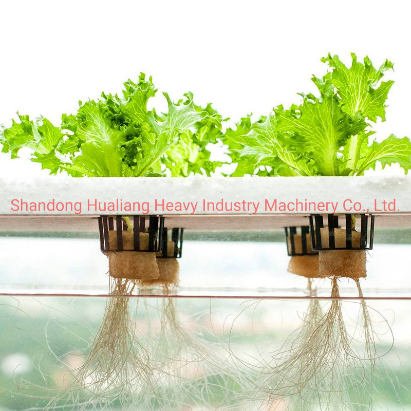 Vertical Hydroponics Growing Greenhouse for Lettuce/Salad/Herbs