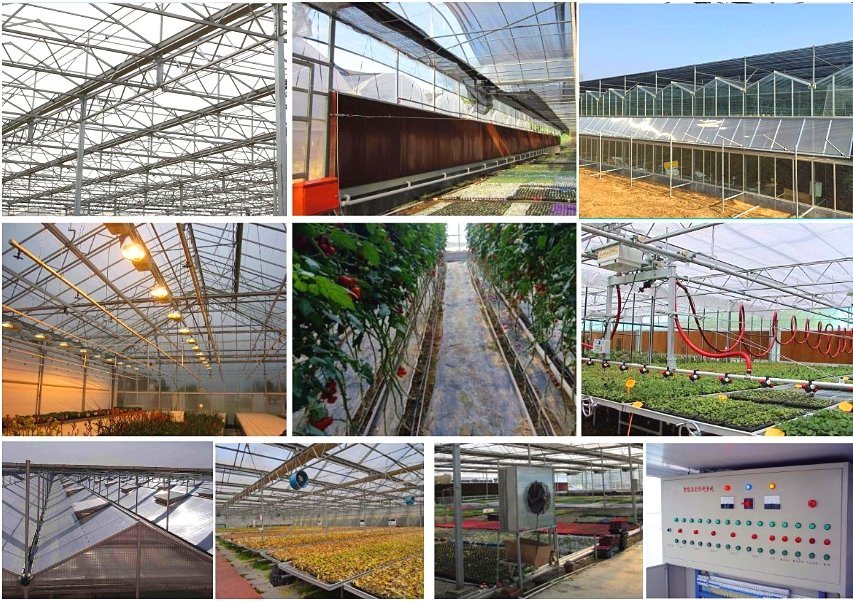 Venlo PC Sheet Greenhouse for Commercial with Hydroponic Nft Systems