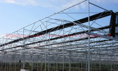 Plastic Film Green House with Hydroponics System for Growing Tomato