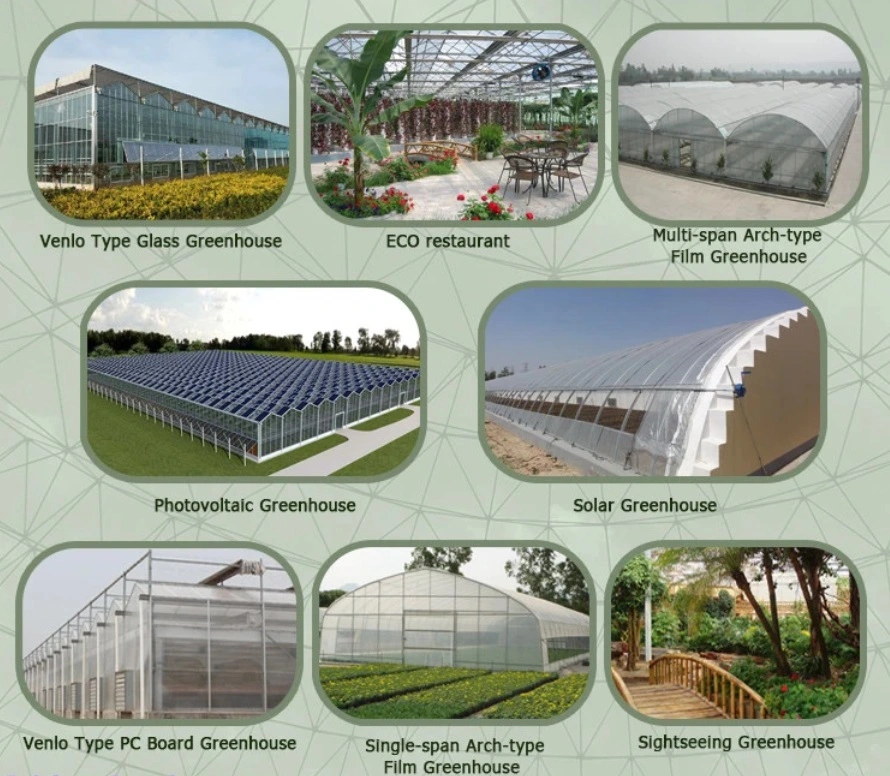 Multi-Span Type PE/Po Plastic Film Agricultural Greenhouse for Tomato/ Cucumber/ Lettuce/ Pepper Planting