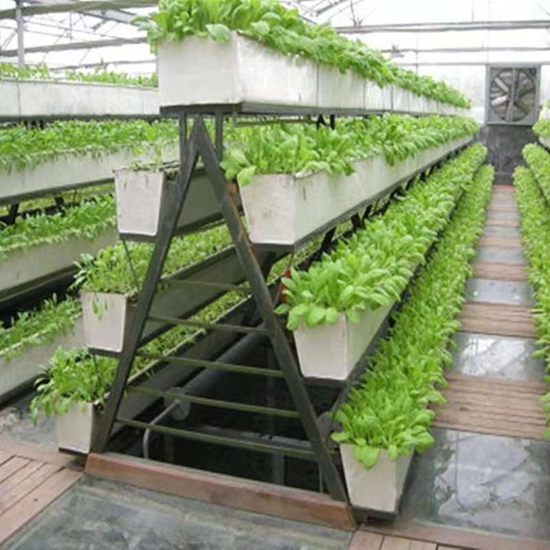 Garden Farm Multi-Span Film Greenhouse Plastic Po/PE Green House for Vegetables Cucumber Tomato