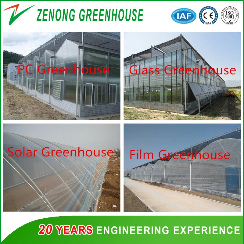Plastic Film Multi-Span Greenhouse with Ventilation/Shading Net/Irrigation/ for Sightseeing