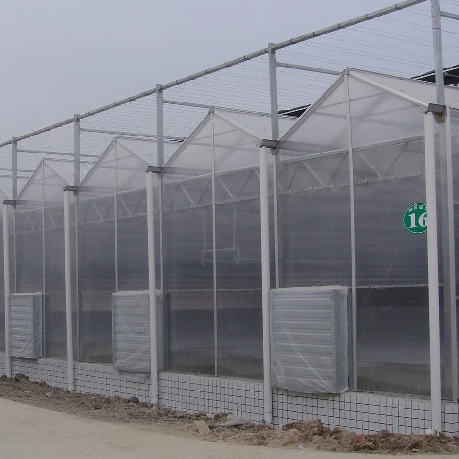 Agricultural PC Greenhouse with Shading System
