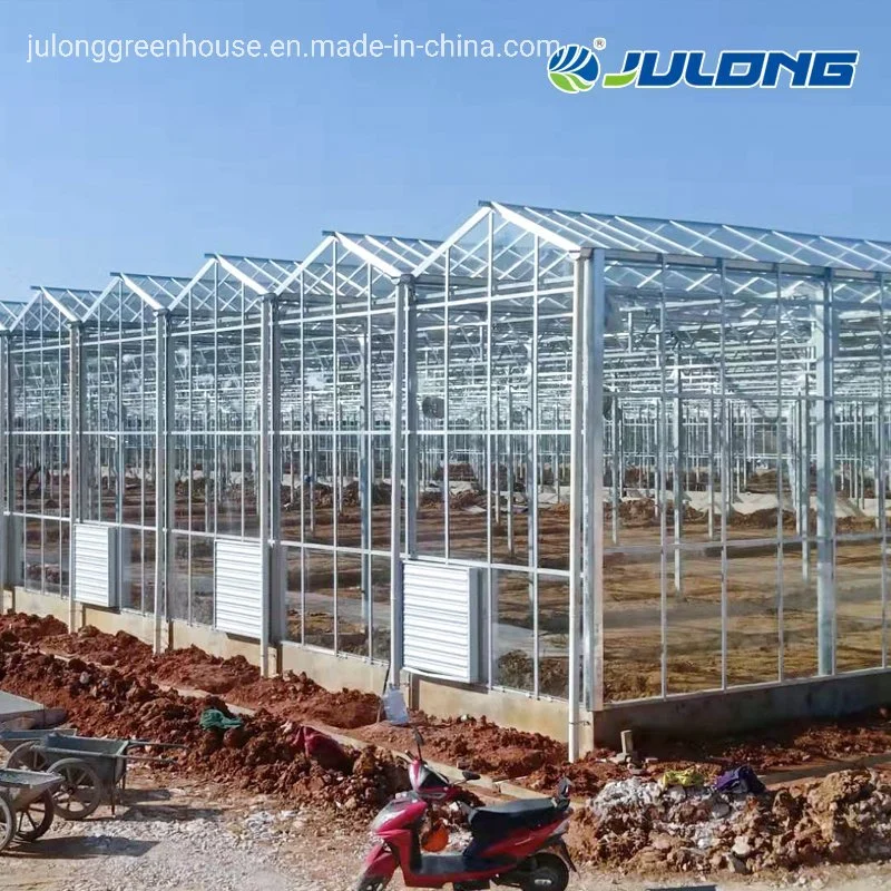 Venlo Type Intelligent Glass Agricultural Greenhouse with Inside Shading System