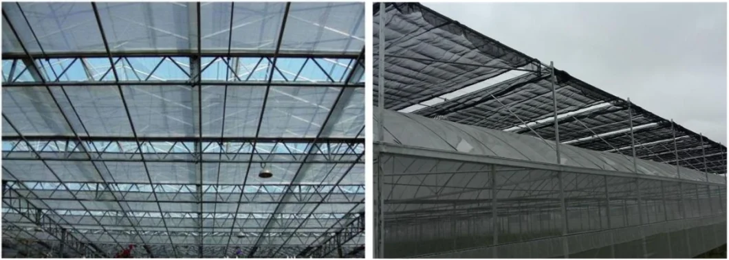 Garden/Farm/Tunnel Multi-Span Polyethylene Film Greenhouse for Rose/Potato