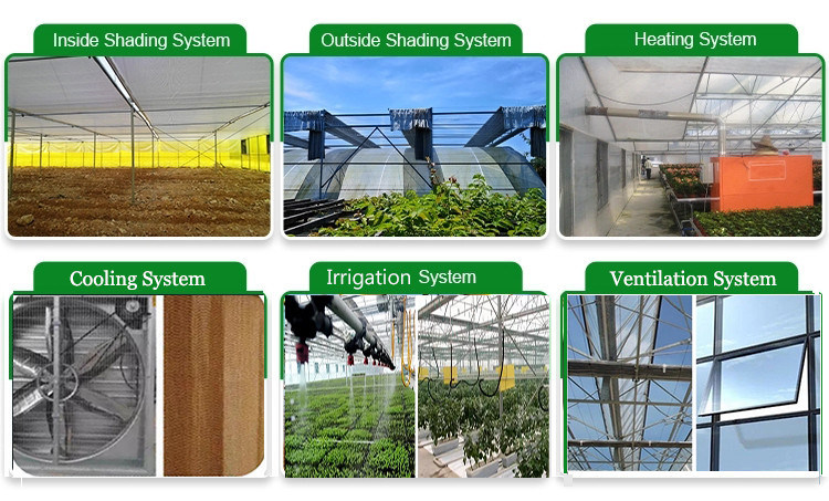 Venlo Glass Greenhouse for Vegetable Tomato Strawberry Cucumber Pepper