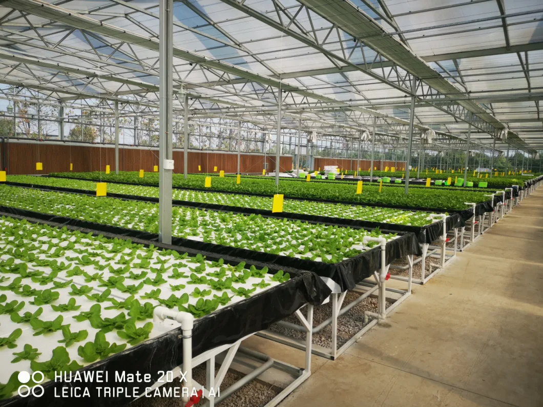 100% Automatic Blackout Greenhouse Made in China