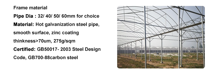 High Quality Plastic Film Greenhouse with Cooling System for Tomato/Tomato/Lettuce/Pepper Planting
