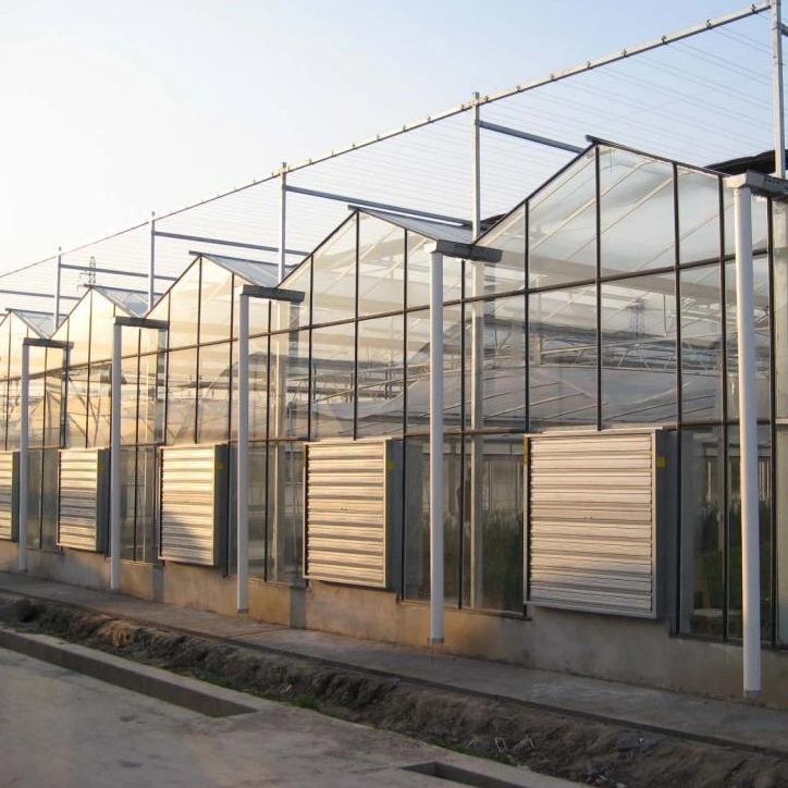 China Supplier Low Cost Glass Greenhouse for Commercial