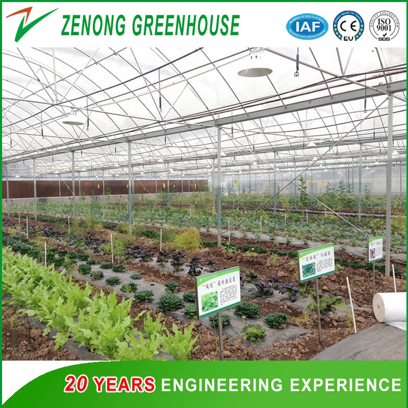 Intelligent Greenhouse Covered with Plastic Film PP/PE/PO Greenhouse for Vegetables