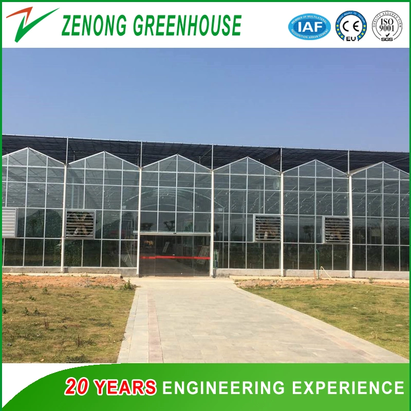 Glass Multi-Span Intelligent Greenhouse with Exhaust Fan/Cooling Pad/Irrigation/Shading Net