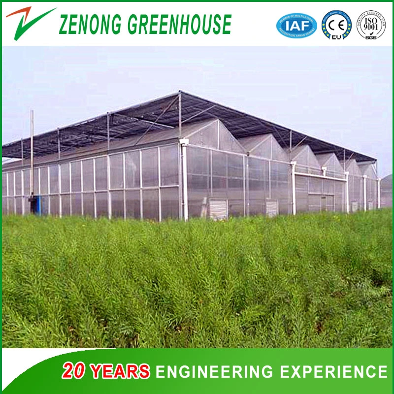 Modern Design Plastic / Glass Greenhouse / Multifunctional Greenhouse / Light Steel Greenhouse