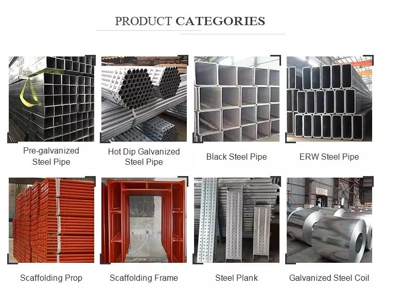 Galvanized Steel Pipe Single-Span Greenhouses for Vegetables