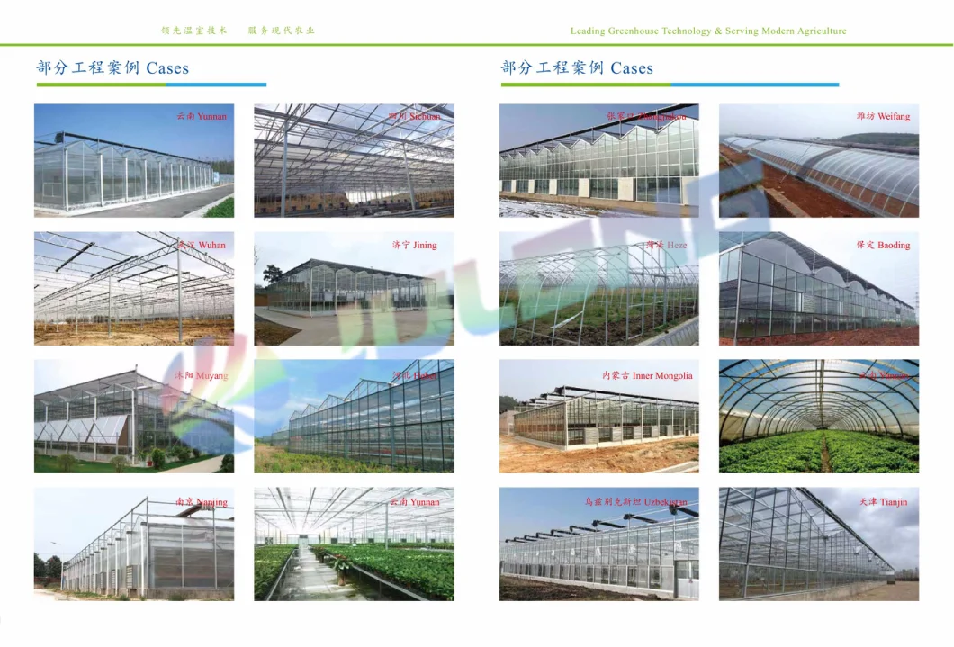 Multi Tunnel Po Film Plastic Greenhouse with Shading System