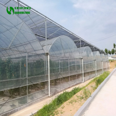 Greenhouse Plastic Materials Film Greenhouse for Vegetables Planting