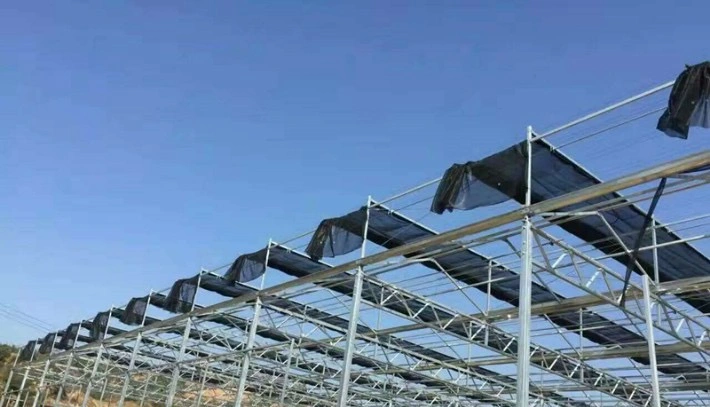 Multi-Span Plastic Film Agriculture Hydroponics Greenhouse for Garden/Vegetable/Cucumber