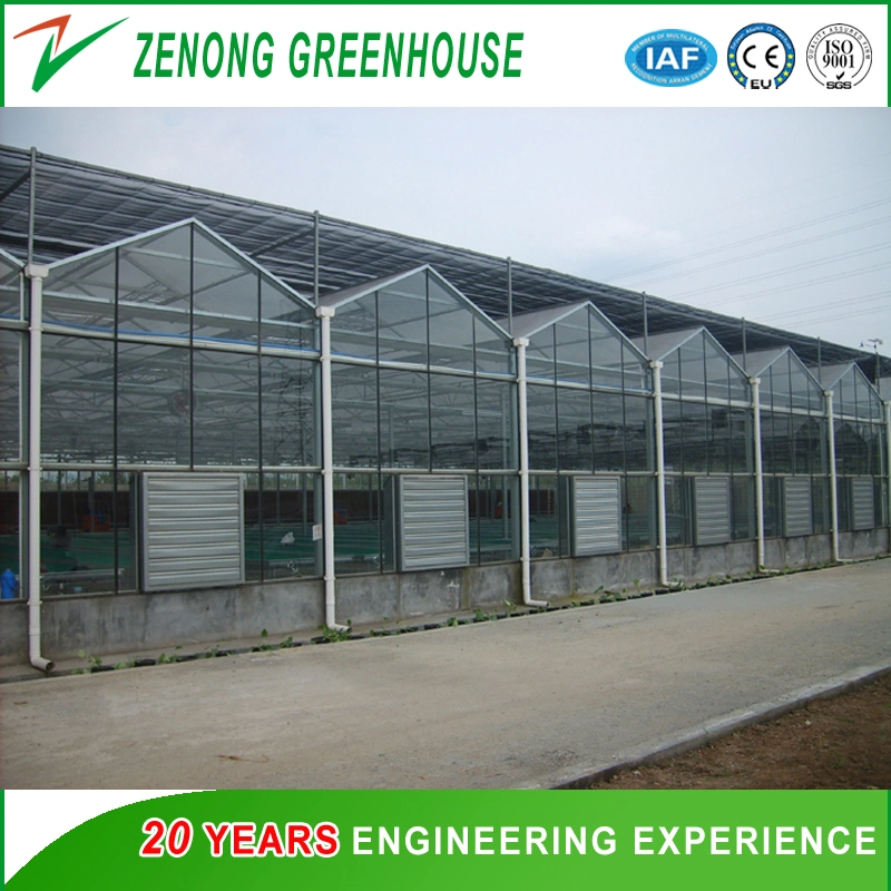 Glass Multi-Span Intelligent Greenhouse with Exhaust Fan/Cooling Pad/Irrigation/Shading Net