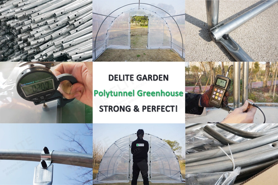 Multi Use Greenhouse 5 M Wide Polytunnel Green House Plant Grow Hothouse for Tomato Cucumber Strawberry