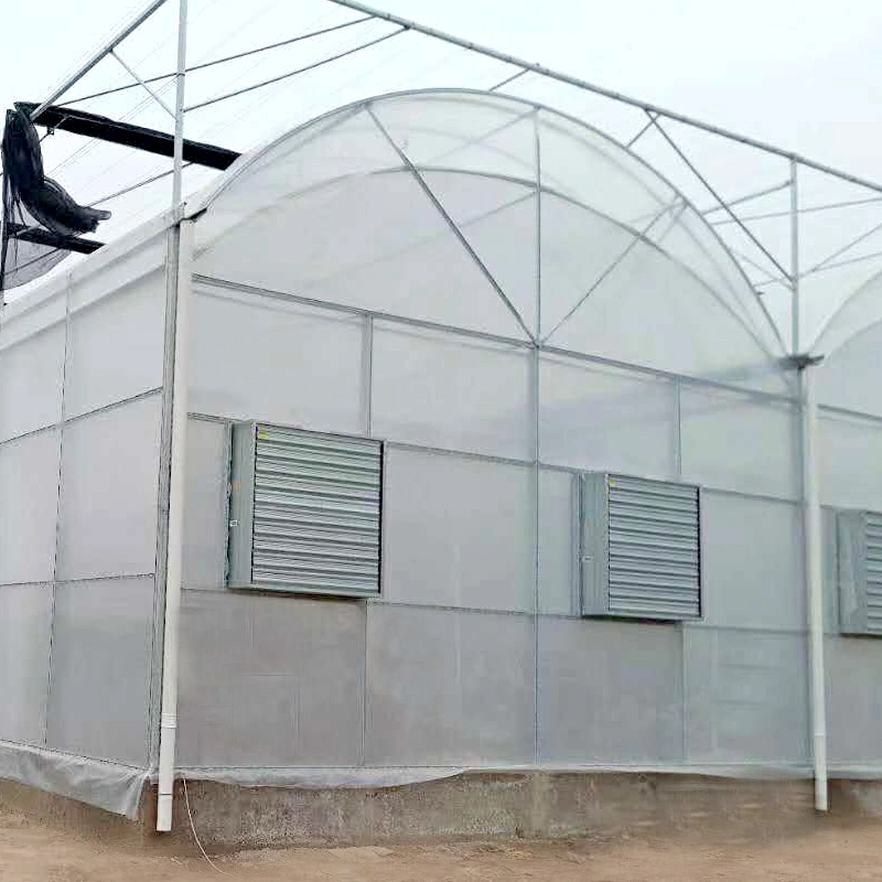 Agriculture Multi Span Polycarbonate Greenhouses for Plants