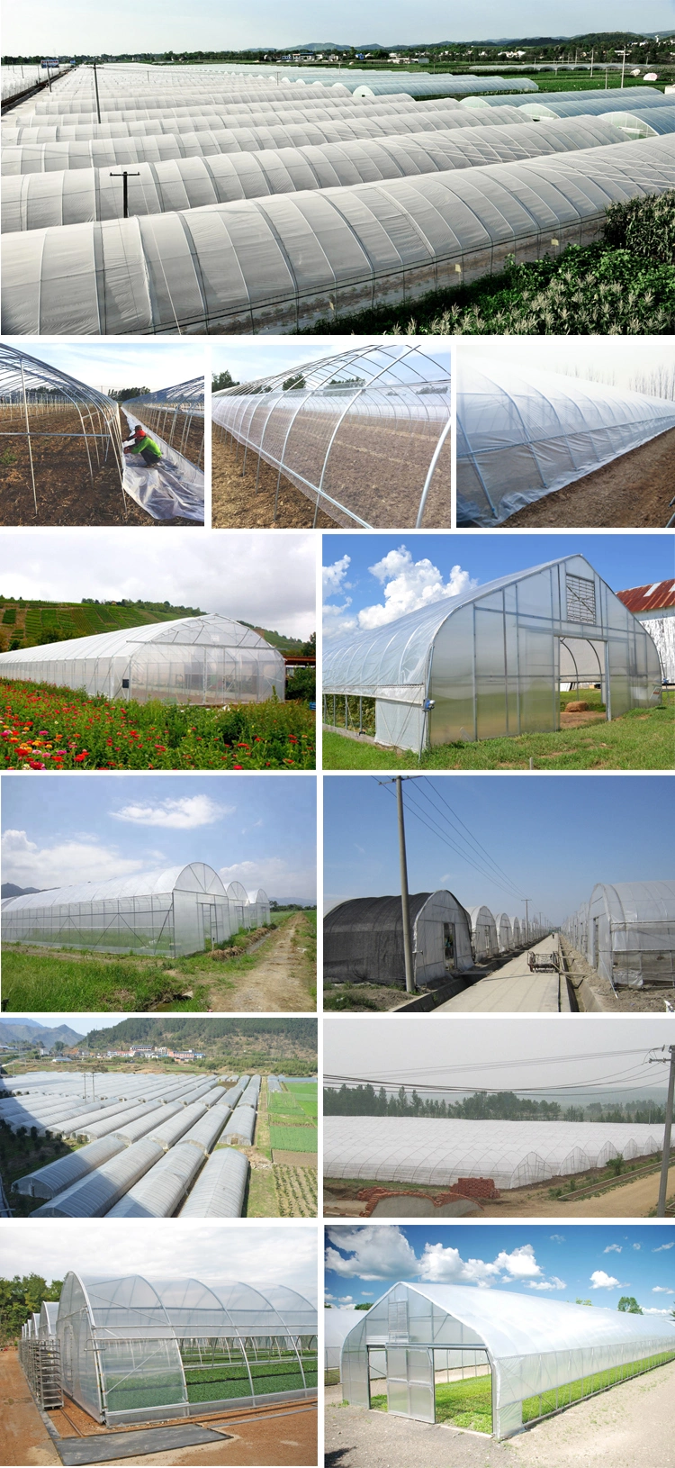 High Large Plastic Solar Tunnel Single-Span Hydroponics Grow Light Greenhouses