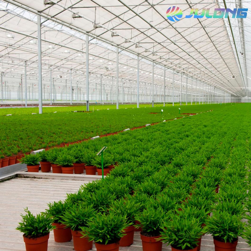 China Agriculture Venlo Type Polycarbonate Sheet Greenhouse with Inside and Outside Shading System Greenhouse
