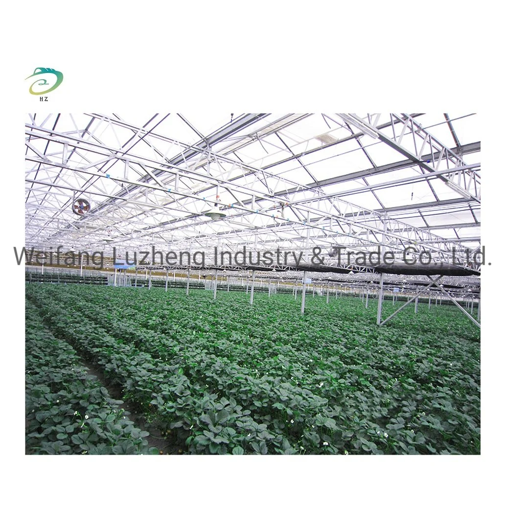 Film or Venlo Glass Greenhouse with Shading System and Electrical or Water Heating System