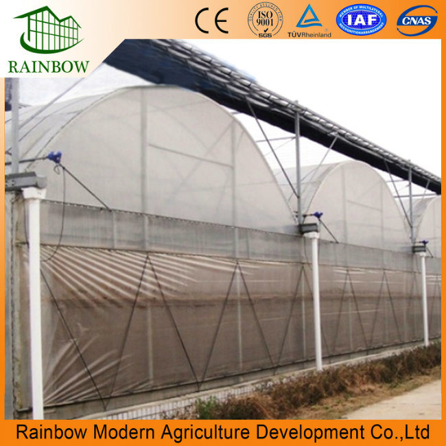 Agricultural Greenhouse Strawberry Greenhouse Outside Shading System