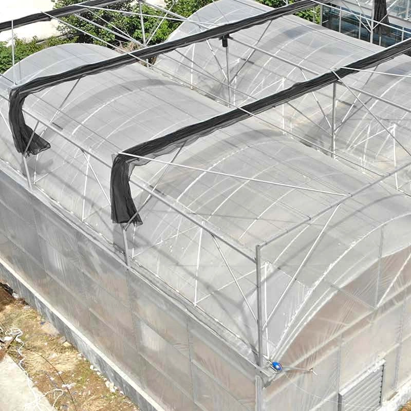 Multi Span Greenhouse -Multi Span Film Greenhouse Mainly for Agriculture
