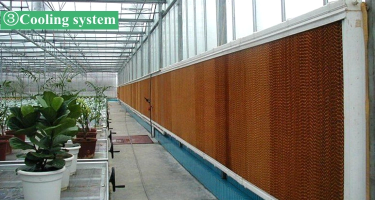 Agricultural/Commercial Glass Multi Span Greenhouse for Farming Vegetables/Flowers/Tomato/Aquaponic//Hydroponic System