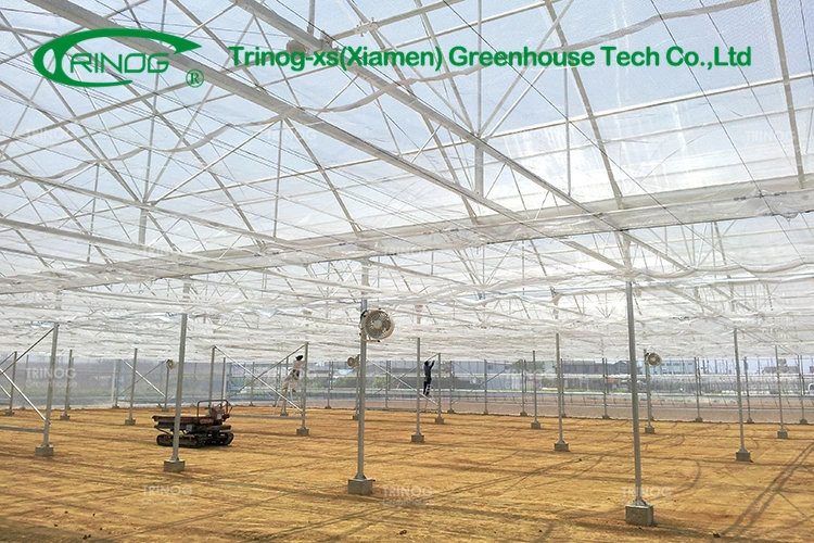 Commercial Inner Shading System Cooling Greenhouse Covering Multi-span Film Greenhouse