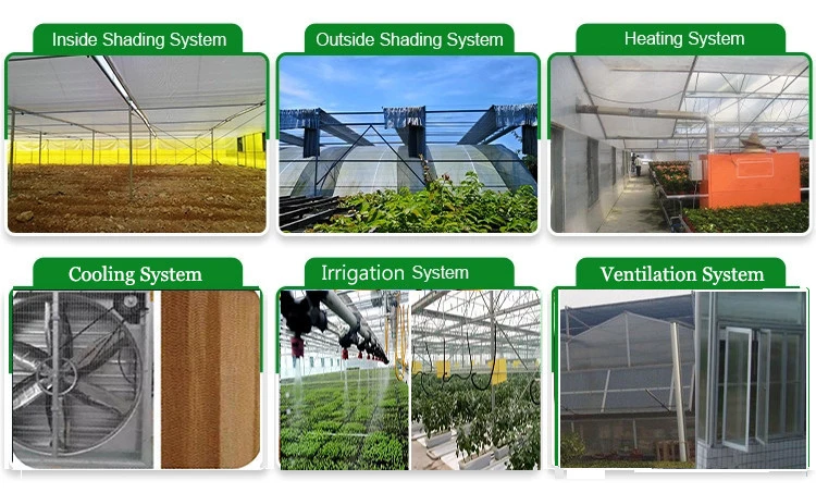 Breeding Greenhouse Multi Tunnel Po/PE Film Greenhouse for Vegetables