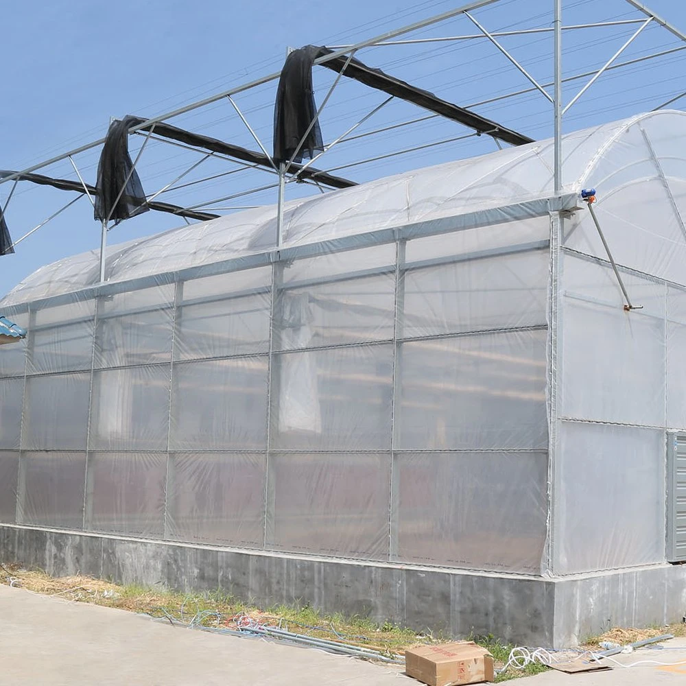 Aluminum Frame Greenhouse Wide Span Agricultural Greenhouse