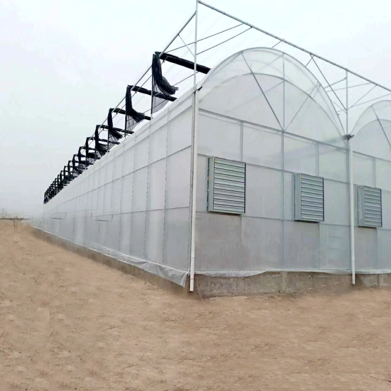 Single-Span Tunnel Polyethylene Film Greenhouses for Vegetable Flower