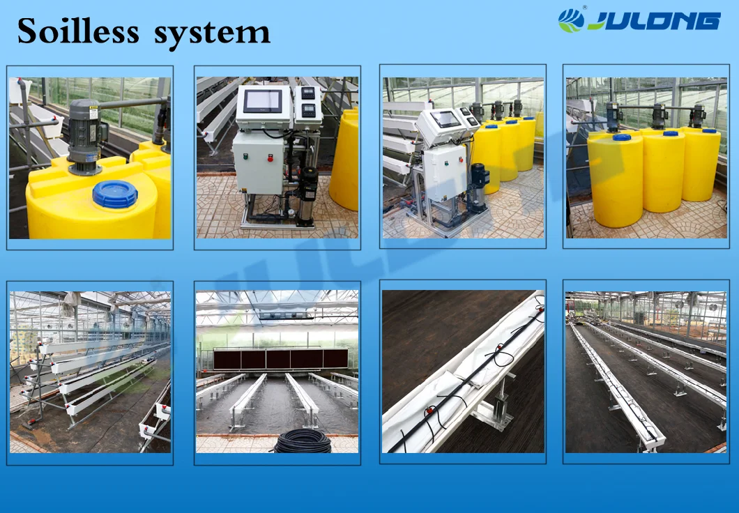 Plastic Multi Span Film Greenhouse Without Outside Shading Net System Greenhouse