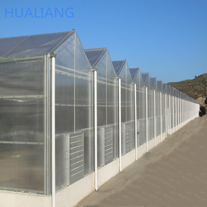 Polycarbonate Material Polycarbonate Sheet PC Used in Seeding Greenhouse