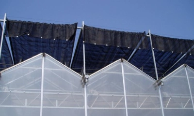 Agricultural Hydroponic Systems Glass Greenhouse for Vegetable Growing