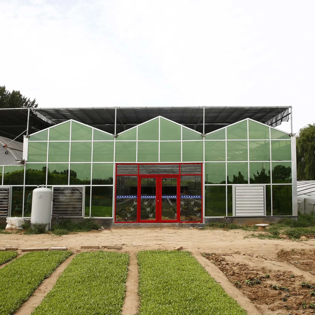 Venlo Glass Multi-Span Greenhouse Agriculture Greenhouse for Aquaponic Farm